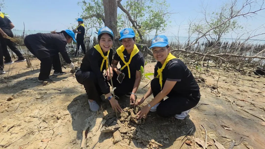 ทัพเรือภาคที่ 2 ผนึก "อปท." นำภาคีเครือข่าย ปล่อยพันธุ์ปูม้า 2 แสนตัว&ndash;ปลูกป่าชายเลน เฉลิมพระเกียรติ &ldquo;สมเด็จพระเทพฯ&rdquo; 