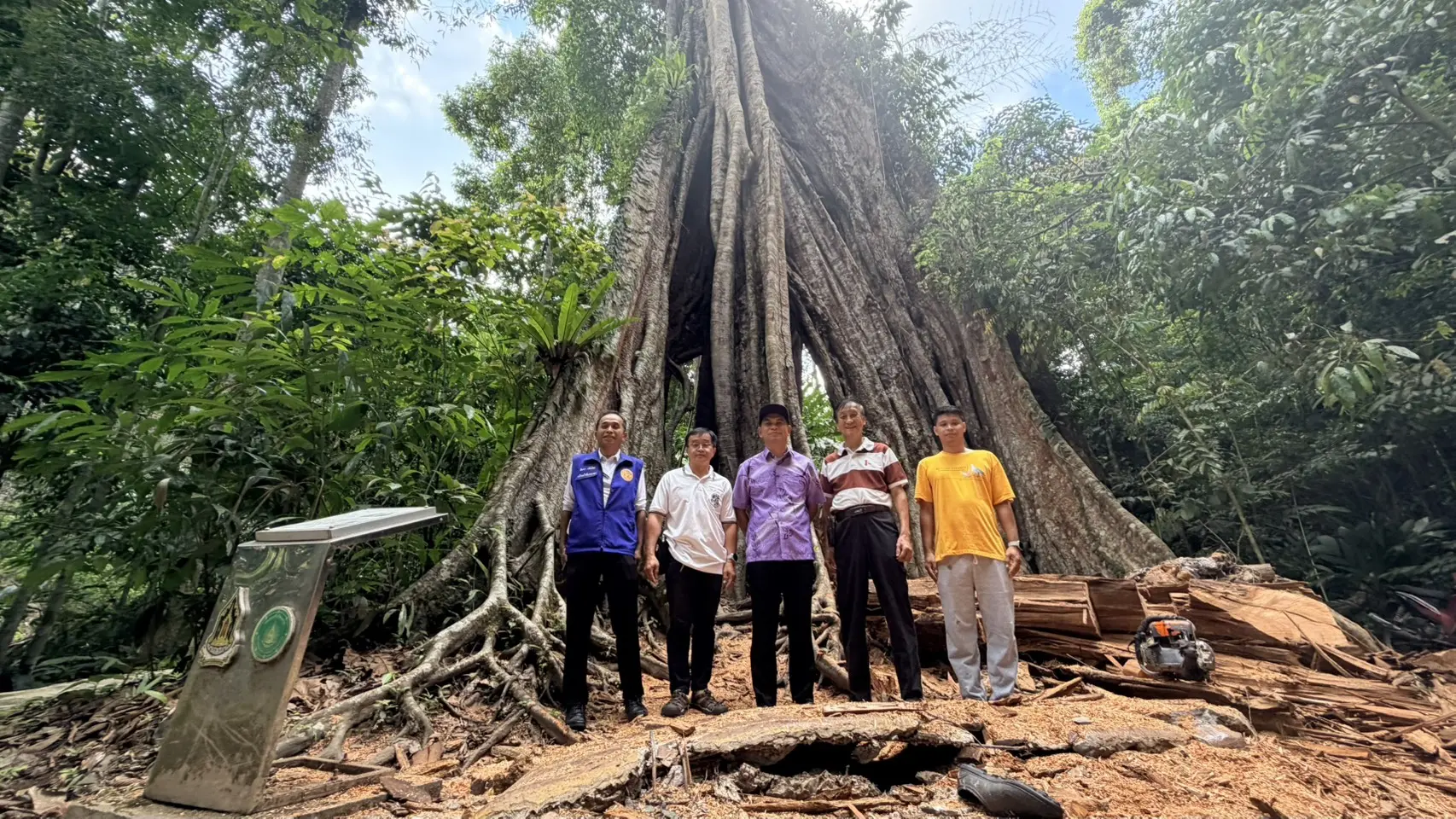 ต้นไม้พันปีอุโมงค์ปิยะมิตรหักโค่นลงจากพายุฝนตามธรรมชาติอีกหนึ่งแลนด์มาร์กสำคัญของอุโมงค์ปิยะมิตรที่นักท่องเที่ยวต้องแวะถ่ายรูปเก็บความทรงจำ เมื่อได้มาเยือนเมืองเบตง