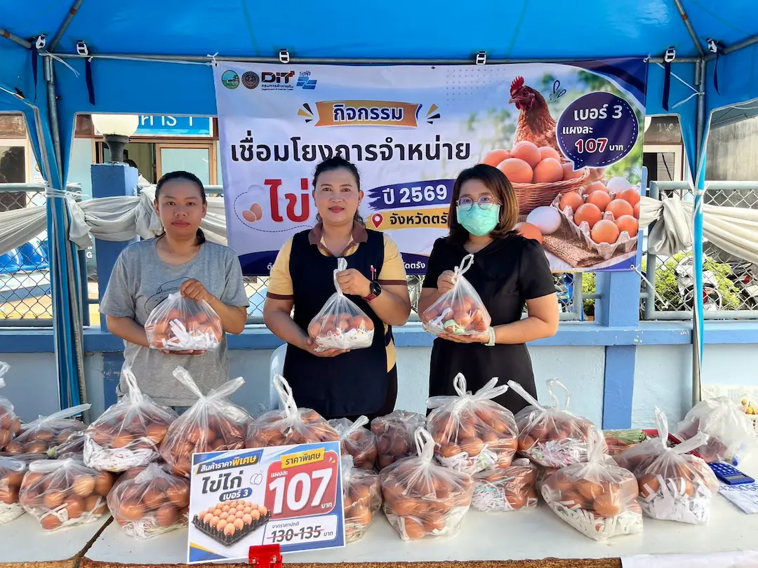พาณิชย์จังหวัดตรัง จัดกิจกรรมเชื่อมโยงการจำหน่ายไข่ไก่ โดยจัดจำหน่าย ไข่ไก่ เบอร์ 3 ราคาพิเศษแผงละ 107 บาท ช่วยลดภาระค่าครองชีพประชาชน