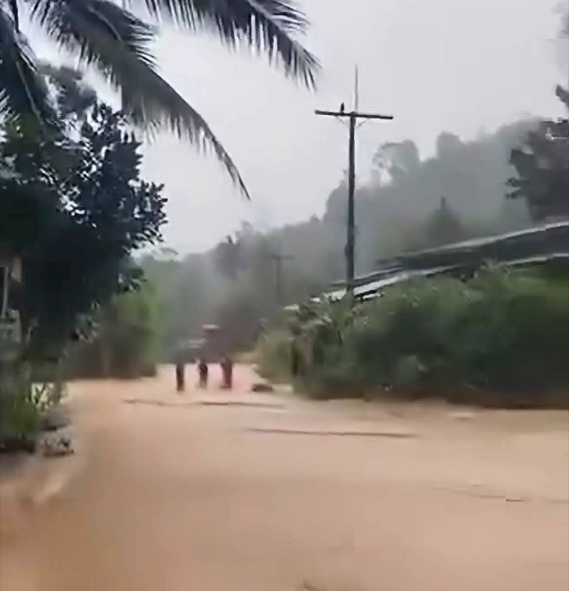 ฝนตกหนักทำน้ำป่าทะลักธารโต กำชับ 8 อำเภอเฝ้าระวังน้ำท่วม-โคลนถล่ม 24 ชม